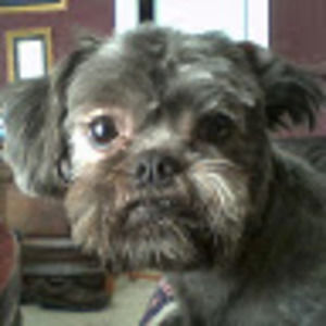 Meet your Posher, Steven